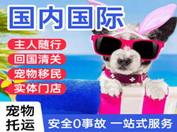 长沙机场物流国际宠物托运 【国